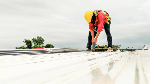 Best Steel Roofing  in Shenandoah, IA
