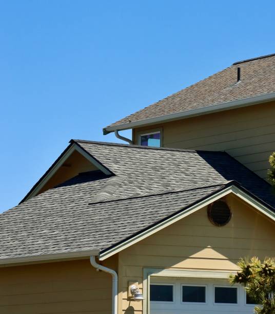 Best Roof Coating and Sealing  in Shenandoah, IA